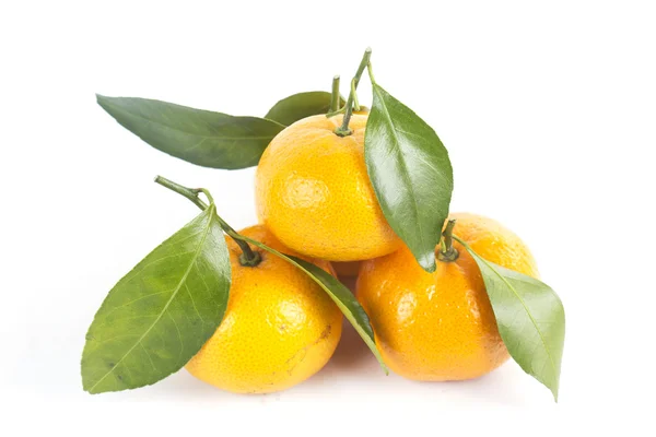 Orange fruit — Stock Photo, Image