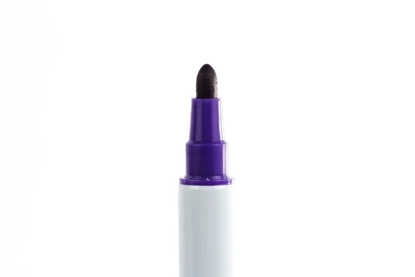 Color púrpura pluma — Foto de Stock