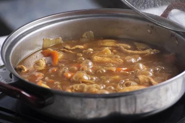 Carne di maiale giapponese al curry nel piatto — Foto Stock