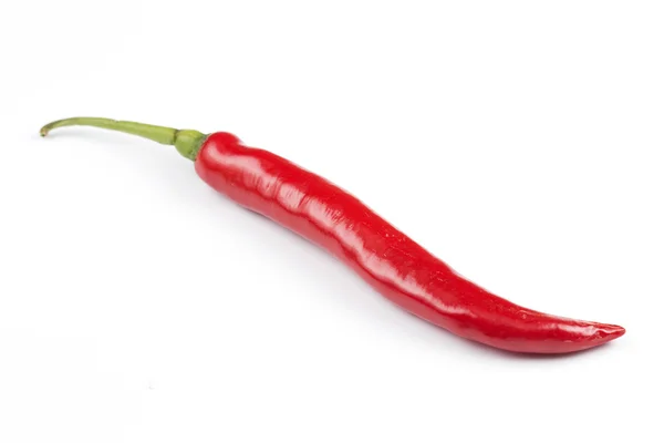 Red chili pepper — Stock Photo, Image