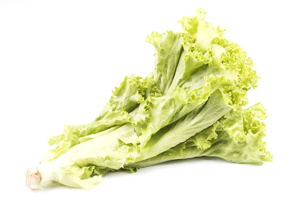 Fresh green lettuce — Stock Photo, Image