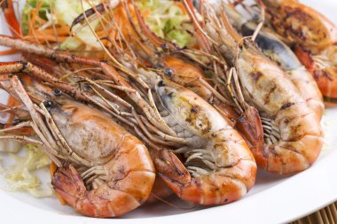 Grup ızgara karides 