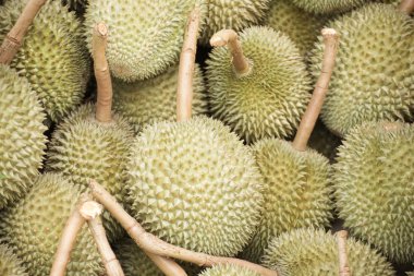 Durian
