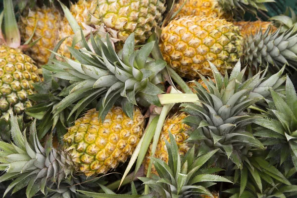 Skupina ovoce ananas — Stock fotografie