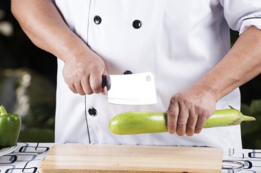 Şef holding yeşil patlıcan 