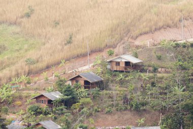 Tepenin üzerinde Tay tarzında küçük ev 