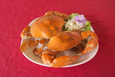 Taze büyük Buhar Yengeç