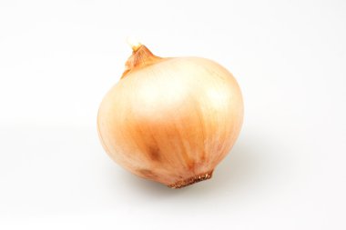 Beyaz üzerinde soğan izole