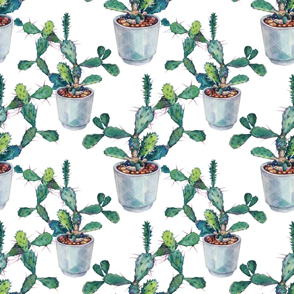 Nahtlose Muster Aquarell grüne Pflanze saftigen Kaktus opuntia mit Nadeln im Topf drinnen isoliert. Handgezeichneter botanischer Hintergrund für Floristik, Tapete, Textil, Skizzenbuch, Verpackung — Stockfoto
