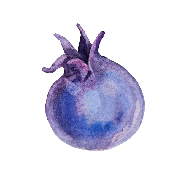 Akvarell shadberry blåbär sommar söt mat isolerad på vit bakgrund. Aquarelle handritade färska bär objekt för meny, kort, textil, klistermärke, tapet, inslagning, vykort — Stockfoto