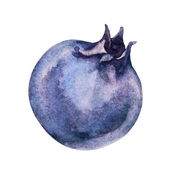 Akvarell shadberry blåbär sommar söt mat isolerad på vit bakgrund. Aquarelle handritade kreativa färska bär objekt för meny, kort, textil, klistermärke, tapet, inslagning, vykort — Stockfoto