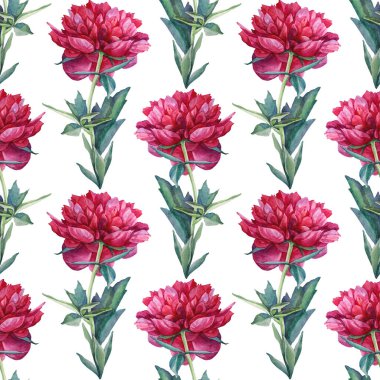 Kusursuz desenli suluboya kırmızı şakayık çiçeği beyaz arka planda izole edilmiş. El yapımı çiçek bitkisi. Çiçekçi, davetiye, düğün, kutlama, kart, paketleme, eskiz defteri için yaratıcı nesne