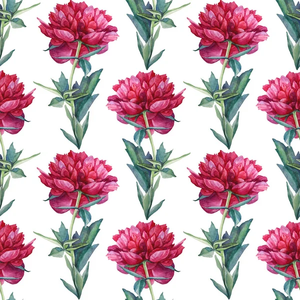 Nahtloses Muster Aquarell rote Pfingstrose Sommerblume isoliert auf weißem Hintergrund. Handgezeichnete Blütenpflanze. Kreatives Objekt für Florist, Einladung, Hochzeit, Feier, Karte, Verpackung, Skizzenbuch — Stockfoto