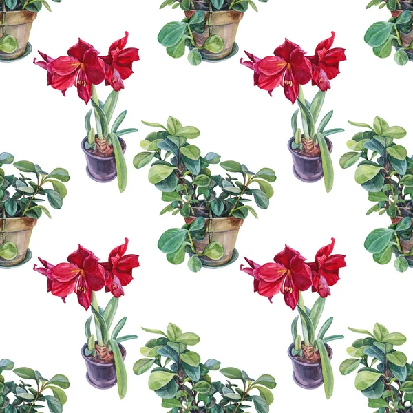 Zökkenőmentes minta akvarell növény pot piros liliom zöld levelek és zamatos fehér háttérrel. Kézzel rajzolt botanikai illusztráció ünneplés, esküvő, születésnap, tapéta, csomagolás — Stock Fotó