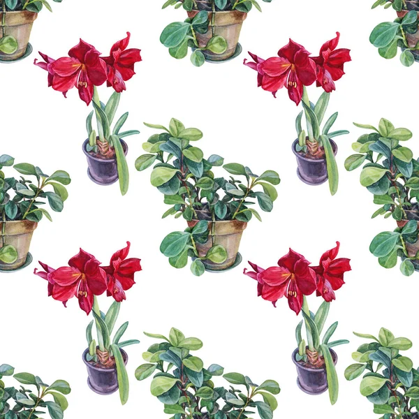 Seamless pattern watercolor plant in pot red lily with green leaves and succulent on white background. Hand-drawn botanical illustration for celebration, wedding, birthday, wallpaper, wrapping