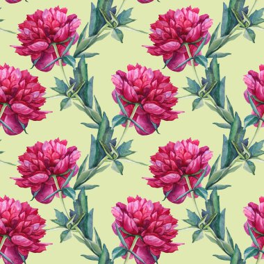 Kusursuz desenli suluboya kırmızı şakayık yaz çiçeği yeşil arka planda. El yapımı çiçek bitkisi. Çiçekçi, davetiye, düğün, kutlama, kart, paketleme, eskiz defteri için yaratıcı nesne