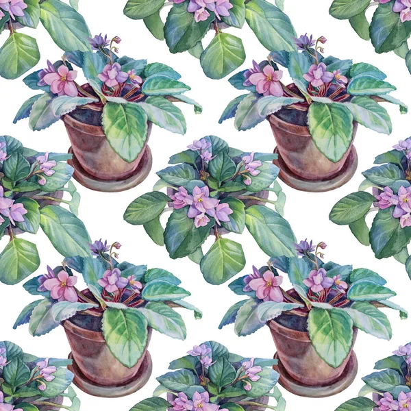 Nahtloses Muster Aquarell saftige Blume rosa violette Pflanze mit grünen Blättern im braunen Topf auf weiß. Kreativer handgezeichneter Innenraum-Hintergrund für Floristik, Notizbuch, Tapete, Verpackung — Stockfoto