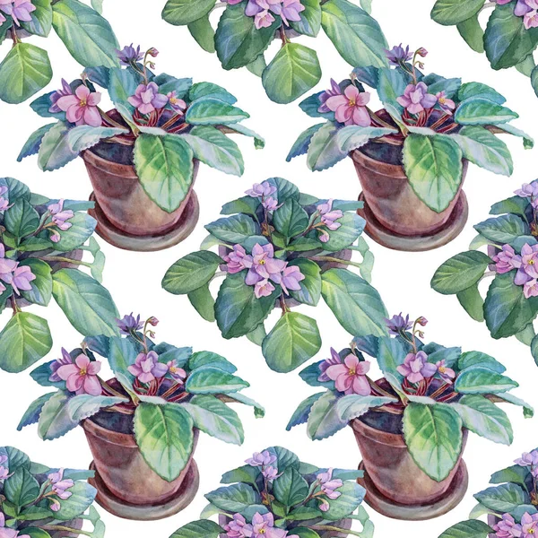 Modello senza soluzione di continuità acquerello succulento fiore rosa viola pianta con foglie verdi in vaso marrone su bianco. Sfondo interno creativo disegnato a mano per fiorista, notebook, carta da parati, avvolgimento — Foto Stock