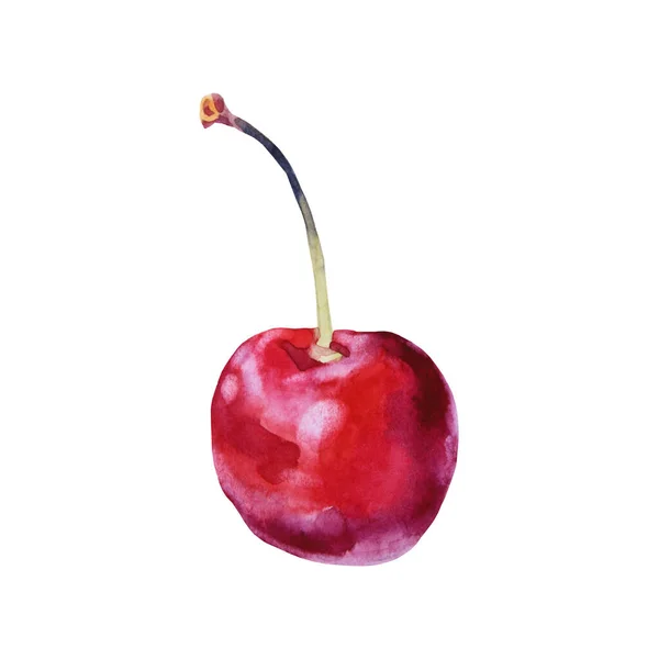 Acuarela cereza roja aislada sobre fondo blanco. Frutos de bayas dulces de verano dibujados a mano. Objeto creativo de arte para menú, pegatina, papel pintado, envoltura, cuaderno de bocetos, cuaderno, tarjeta — Foto de Stock