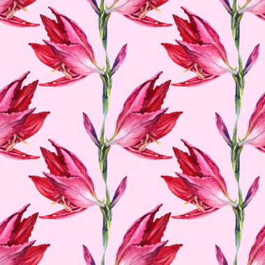 Kusursuz desenli suluboya yaz çiçekli zambak ve pembe arka planda tomurcuk. Kart, kutlama, düğün, doğum günü, duvar kağıdı, ambalaj, tekstil, hediye için el yapımı botanik çizimi