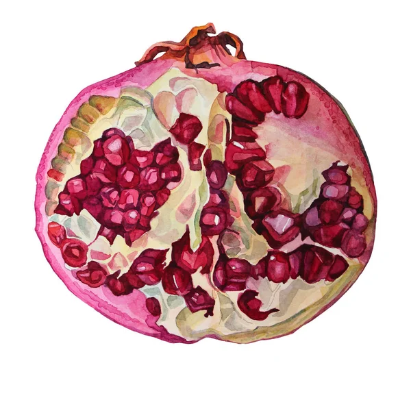 Granate acuarela granate rojo dibujado a mano con semillas aisladas sobre fondo blanco. Objeto creativo de arte para menú, textil, tarjeta, pegatina, papel pintado, envoltura — Foto de Stock