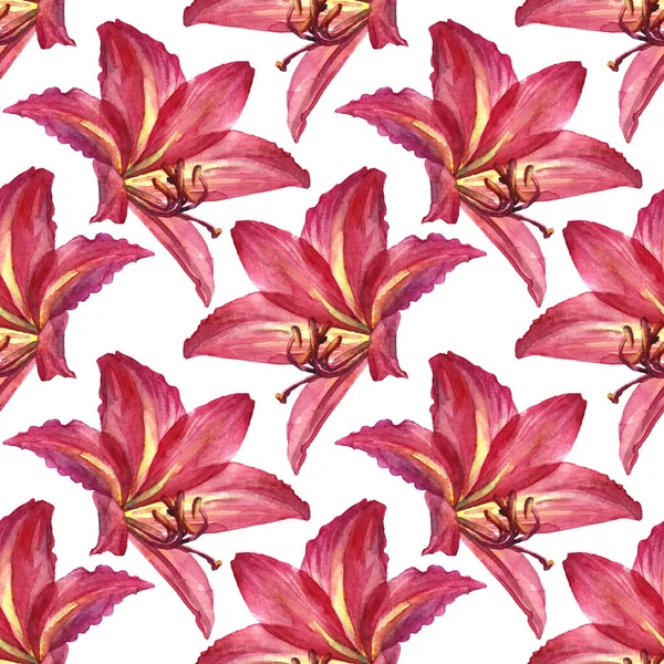 Padrão sem costura aquarela verão buquê flor lírio vermelho no fundo branco. Ilustração botânica de verão desenhada à mão para cartão, celebração, casamento, aniversário, papel de parede, envoltório, têxtil, presente — Fotografia de Stock