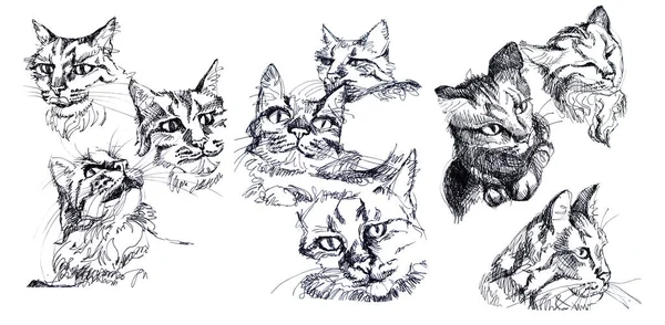 Nastavte ručně kreslené černé a bílé kočky. Kreativní zázemí pro karty, obaly, tapety, poznámkový blok, zoo shop, textil — Stock fotografie