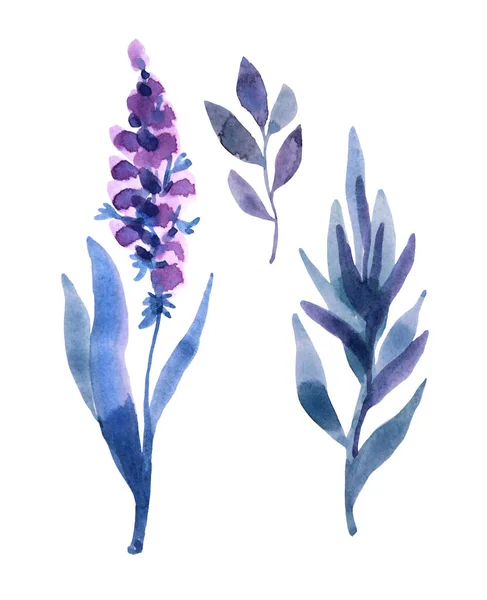 Akvarell handritad blå och lila abstrakt lavendel med blad isolerade på vit bakgrund. Filial objekt för florist, bröllop, fest, kort, klistermärke, tapet, textil, inslagning — Stockfoto