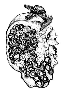 Siyah çizgili sanat, beyaz arka planda izole edilmiş tohumlarla süslenmiş nar. Resim kitabı, menü, tekstil, kart, çıkartma, duvar kağıdı, ambalaj için sanat eseri çizilmiş nesne