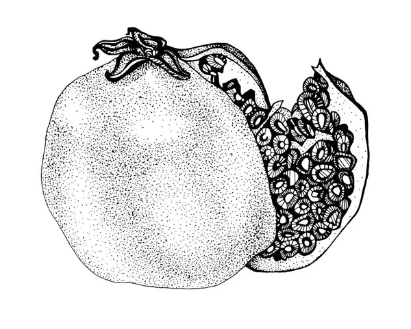 Black and white line art ornate pomegranate with seeds isolated. Art creative hand drawn object for coloring book, menu, textile, card, sticker, wallpaper, wrapping — Stock Photo, Image