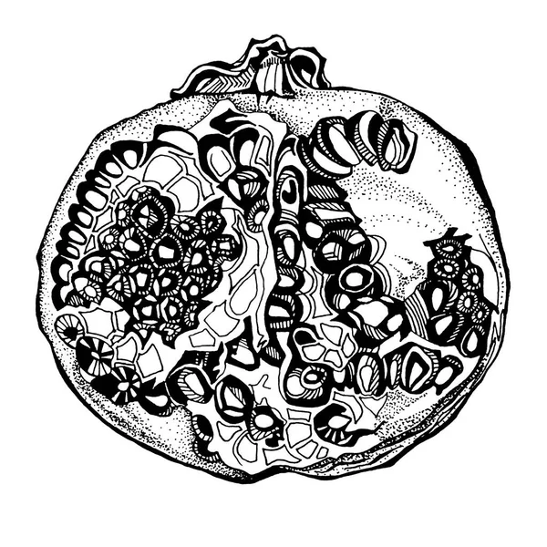 Černé linie umění zdobené granátové jablko se semeny izolované na bílém pozadí. Umělecký kreativní ručně kreslený objekt pro omalovánky, menu, textil, kartičky, samolepky, tapety, obaly — Stock fotografie