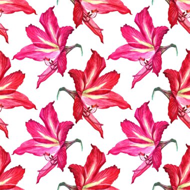 Kusursuz desenli suluboya yaz çiçeği kırmızı, sarı zambak beyaz arka planda. Kutlama, düğün, doğum günü, duvar kağıdı, ambalaj, tekstil, hediye için el çizimi yaz botanik illüstrasyonu