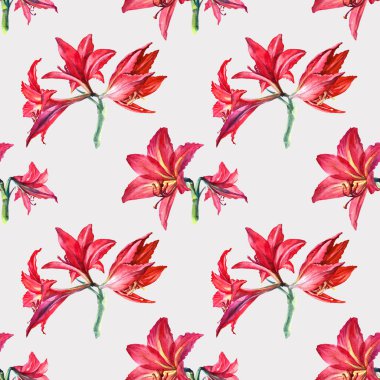 Kusursuz desenli suluboya yaz çiçeği kırmızı zambak ve gri arka planda tomurcuk. Kart, kutlama, düğün, doğum günü, duvar kağıdı, ambalaj, tekstil için el çizimi yaz botanik illüstrasyonu