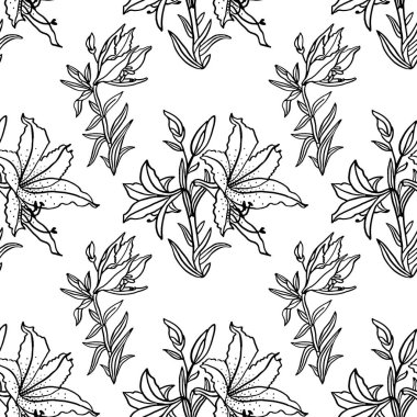 Kusursuz desenli siyah çizgili bir buket zambak beyaz arka planda izole edilmiş. Boyama kitabı, kart, kutlama, düğün, doğum günü, duvar kağıdı, sarma, tekstil, hediye için el çizimi botanik çizimi