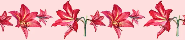 Sömlös gräns akvarell bukett tropisk röd lilja och knopp på rosa bakgrund. Handritad sommar botanisk illustration för kort, fest, bröllop, födelsedag, tapet, inslagning, textil, gåva — Stockfoto