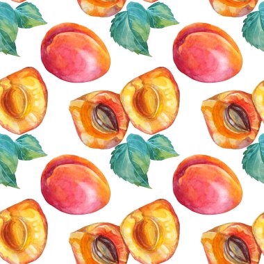 Kusursuz desenli suluboya kayısı, tohum ve yeşil yapraklı beyaz. Kırmızı, sarı, turuncu el yapımı meyve arkaplanı. Tatlı tatlı yaz yemeği. Menü ve paketleme için Clip sanatı ögesi