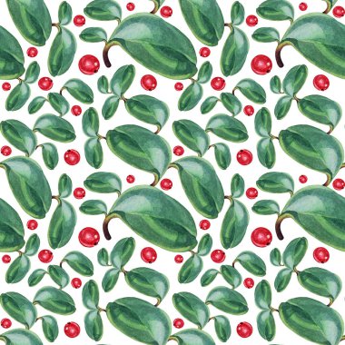Seamless pattern watercolor blue succulent leaves and red berry isolated on white background. Art creative object for florist, card, wallpaper, wrapping, sticker, postcard