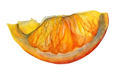 Watercolor citrus fruit orange slice isolated on white background. Hand drawn food object for menu, sticker, wrapping, card, wallpaper