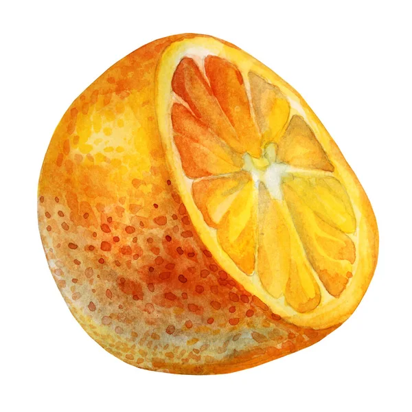 Акварельний фруктовий апельсиновий шматочок ізольований на білому тлі. Мальований об'єкт харчування вручну для меню, наклейки, упаковки, картки, шпалер — стокове фото
