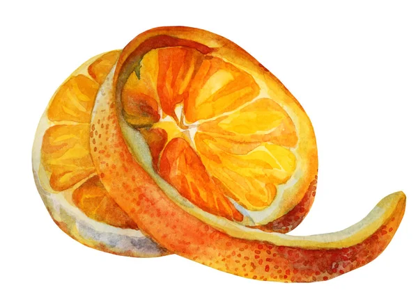 Акварель цитрусовый оранжевый ломтик изолирован на белом фоне. Пищевой объект ручной работы для меню, наклейки, обертки, открытки, обои — стоковое фото