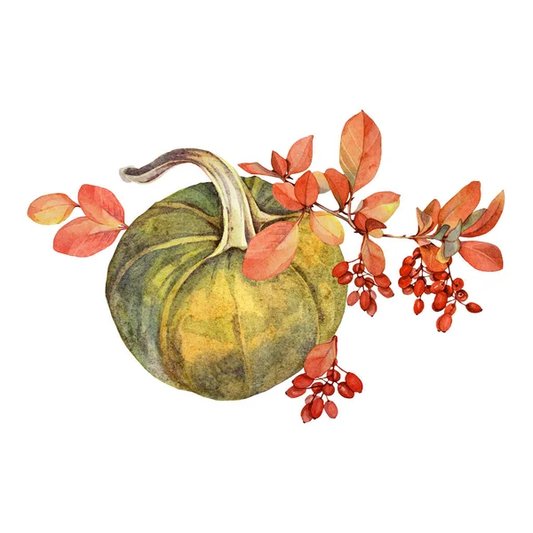 Composizione acquerello cibo autunno. Zucca gialla, bacche rosse crespino, foglie di ramo d'arancia isolate su sfondo bianco. Clip art disegnata a mano per quaderno, biglietto, quaderno, adesivo, involucro — Foto Stock