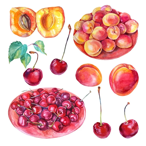 Set aquarelplaat met kers, abrikoos, zaad, groene bladeren geïsoleerd op witte achtergrond. Met de hand getrokken zoete rode zomer voedsel bessen en fruit. Klem kunst voor menu, sticker, behang — Stockfoto