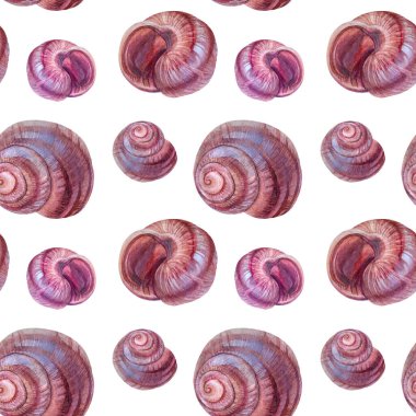 Kusursuz desenli suluboya pembe kahverengi deniz kabuğu ve beyaz arka planda incili. Kutlama, kırtasiye, kart, duvar kağıdı, tekstil, ambalaj için yaratıcı el yapımı gerçekçi nesne