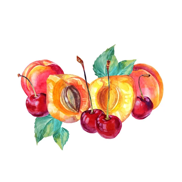 Aquarel samenstelling abrikoos, kers met groene bladeren. Rode, gele, oranje met de hand getekende fruitbes geïsoleerd op witte achtergrond. Zoet dessert zomervoedsel. Clip art voor menu, sticker, kaart — Stockfoto