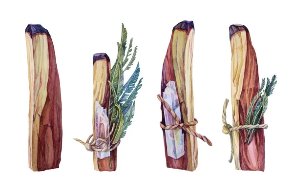 Palo santo ağacının suluboya çubuğunu kristal ve beyaz arka planda izole edilmiş otlarla sargılanmış tütsü ağacına yerleştir. Elle çizilmiş yoga, meditasyon, aromaterapi, şifa, kart, çıkartma