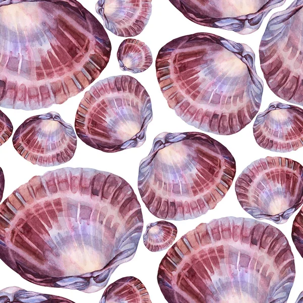 Seamless pattern watercolor pink brown sea shell with pearl on white. Creative hand-drawn nature realistic background for celebration, invite, stationery, card, wallpaper, textile, wrapping — Stock Photo, Image