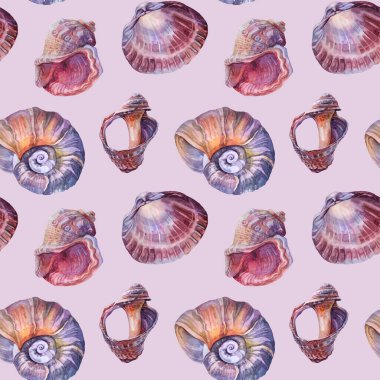 Kusursuz desenli suluboya kahverengi ve pembe zemininde inci olan mavi sarmal deniz kabuğu. Kutlama, kırtasiye, kart, duvar kağıdı, tekstil, ambalaj, çiçekçi için el yapımı gerçekçi nesne.