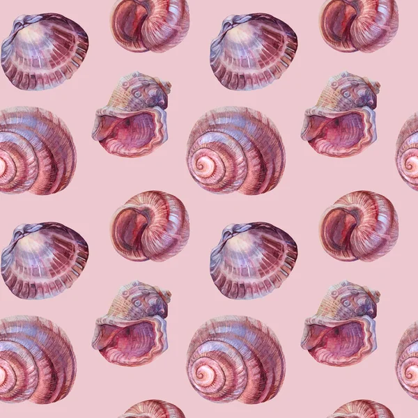 Bezszwowy wzór akwarela różowy brązowy spiralny muszla morska z perłą na szarym tle. Ręcznie rysowane natura realistyczny obiekt do świętowania, papeteria, karta, tapety, tekstylia, opakowanie, kwiaciarnia — Zdjęcie stockowe
