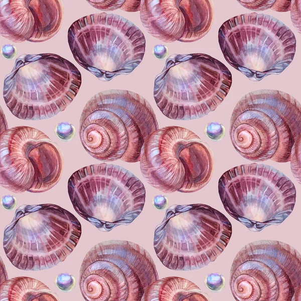 Padrão sem costura aquarela marrom espiral concha do mar com pérola talão no fundo rosa. Objeto realista de natureza desenhada à mão para celebração, papelaria, cartão, papel de parede, têxtil, envoltório, florista — Fotografia de Stock