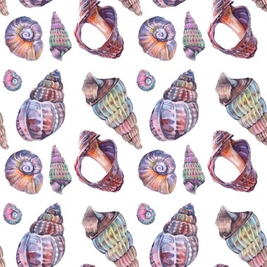 Kusursuz desenli suluboya pembe kahverengi tahrip edilmiş deniz kabuğu beyaz arka planda izole edilmiş. Kutlama, kırtasiye, kart, duvar kağıdı, tekstil, ambalaj, çiçekçi için el yapımı gerçekçi nesne.